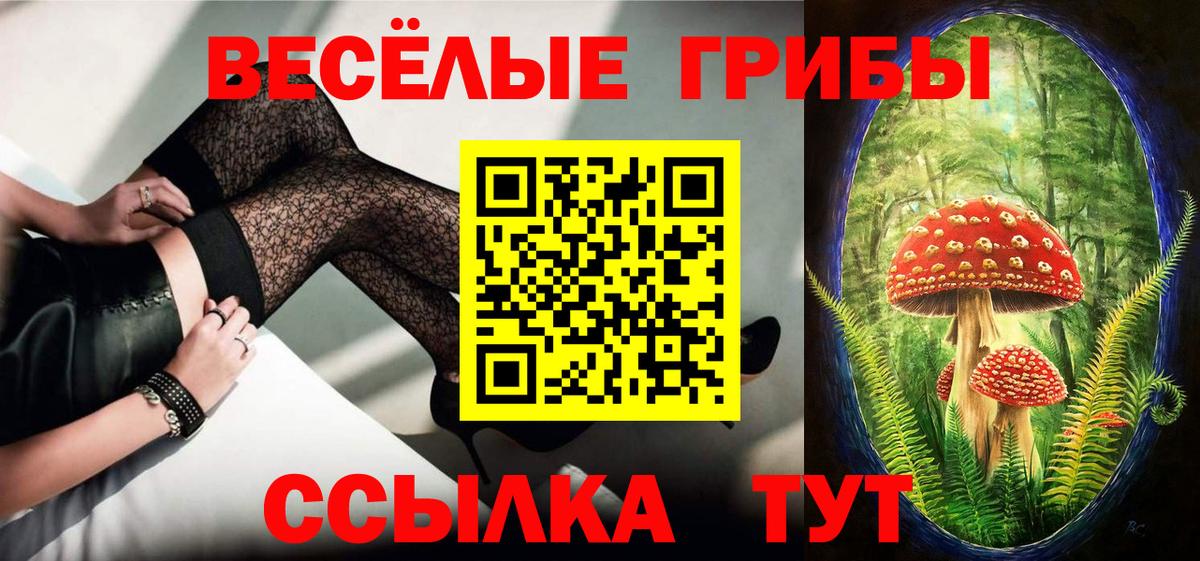 купить закладку  Вход с VPN  Десногорск  Галлюциногенные грибы Magic Shrooms  Галлюциногенные грибы Psilocybe 