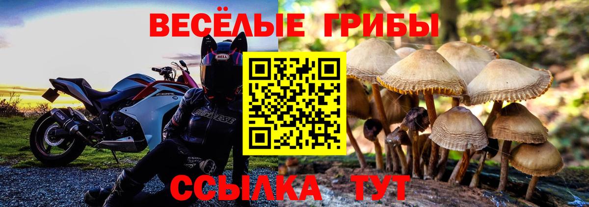 Галлюциногенные грибы мухоморы Десногорск